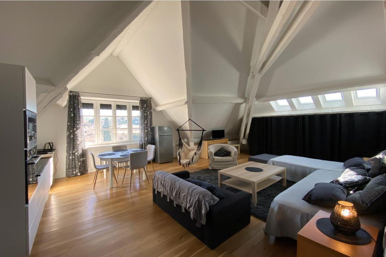 Demeure Saint Louis Historic Manor, City 700M, Parking,A C,Clim,Wifi, Heated Pool, City View Carcassonne Exteriér fotografie