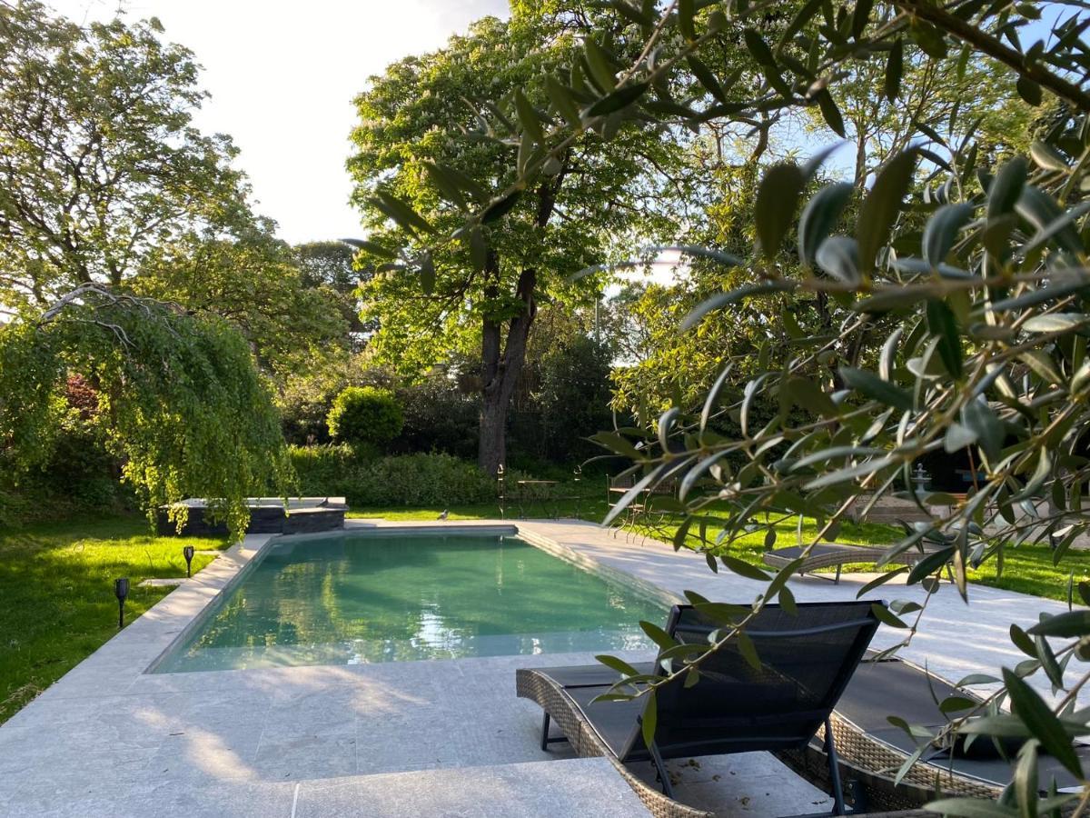 Demeure Saint Louis Historic Manor, City 700M, Parking,A C,Clim,Wifi, Heated Pool, City View Carcassonne Exteriér fotografie